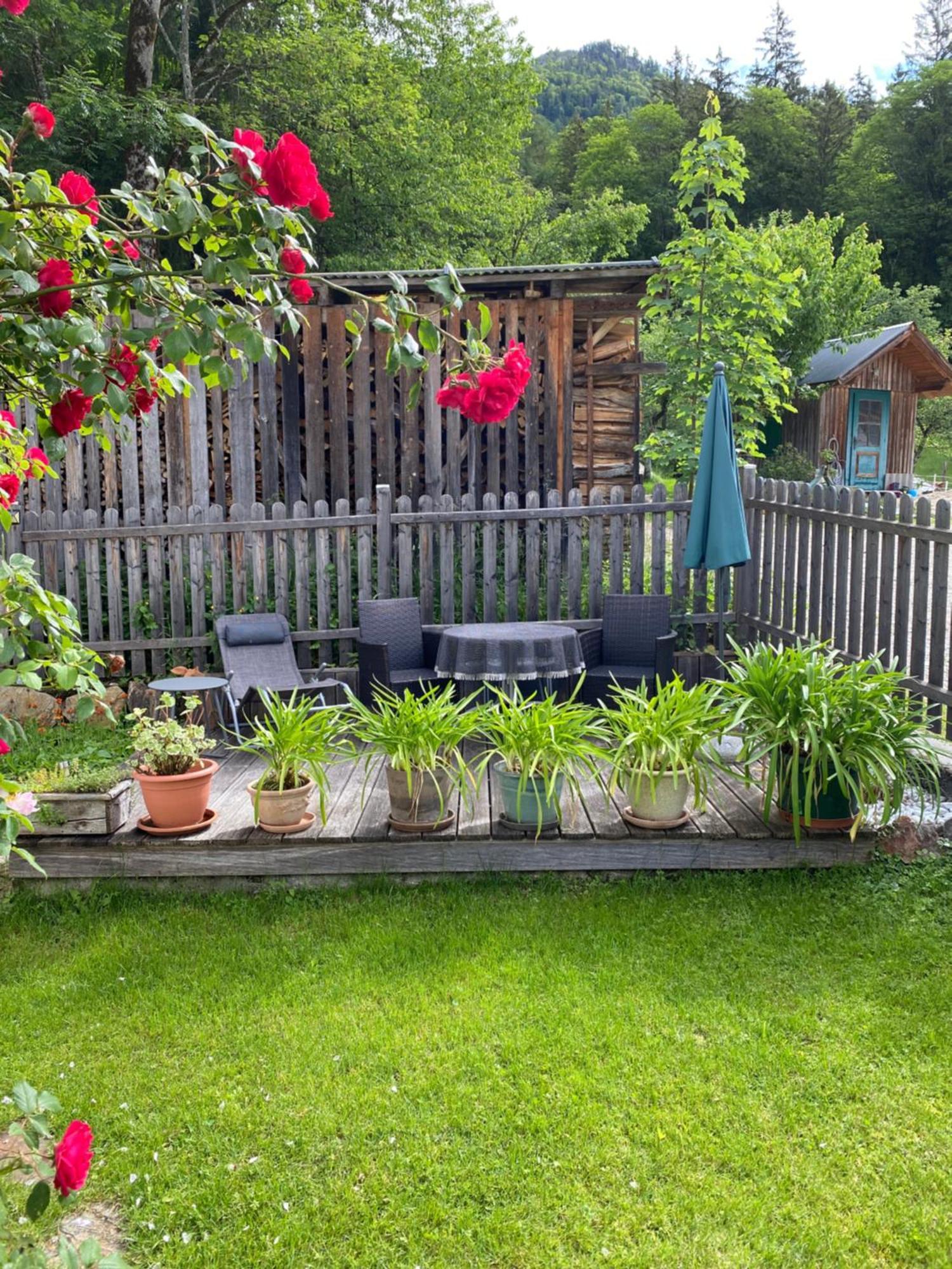 Ferienwohnung Laimer, Radau 37 Saint Wolfgang Exteriör bild